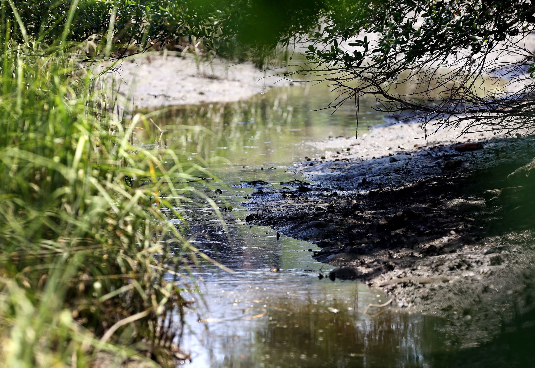 gadsden creek (copy) (copy)